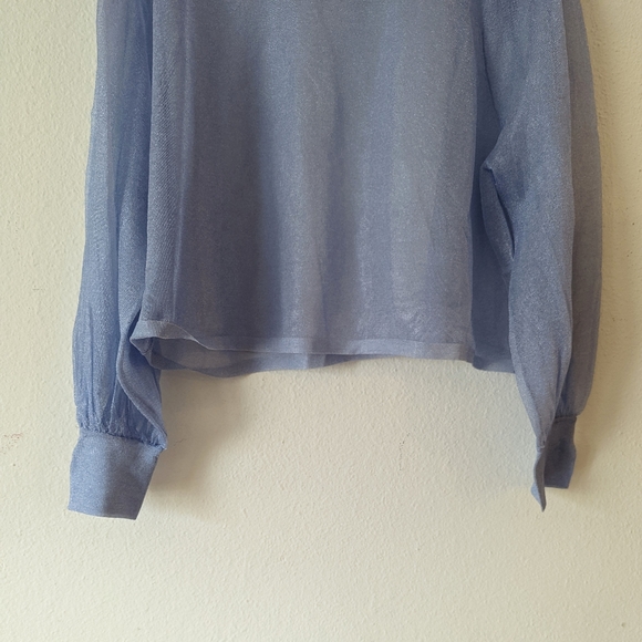 Zara Sheer Shimmer Blouse - Picture 5 of 10
